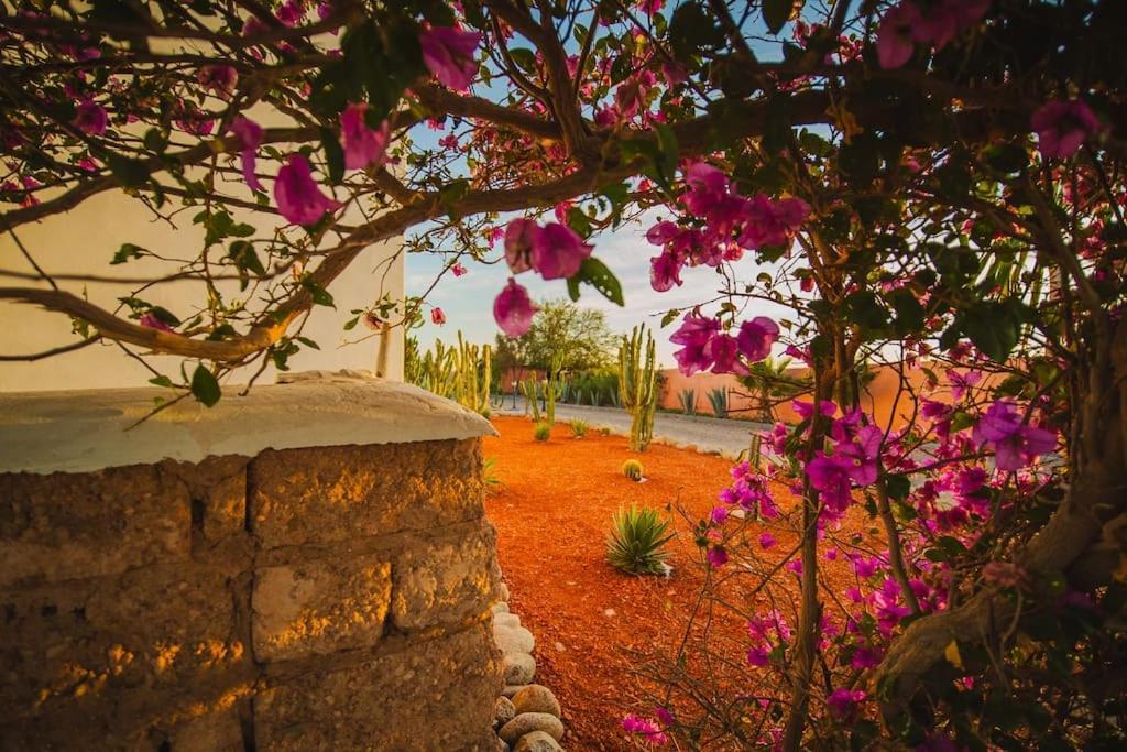 Private Villa, Up To 38 People, Massages, Catering Marrakesh
