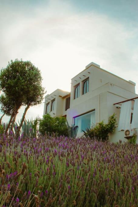 Villa Private Villa, Up To 38 People, Massages, Catering