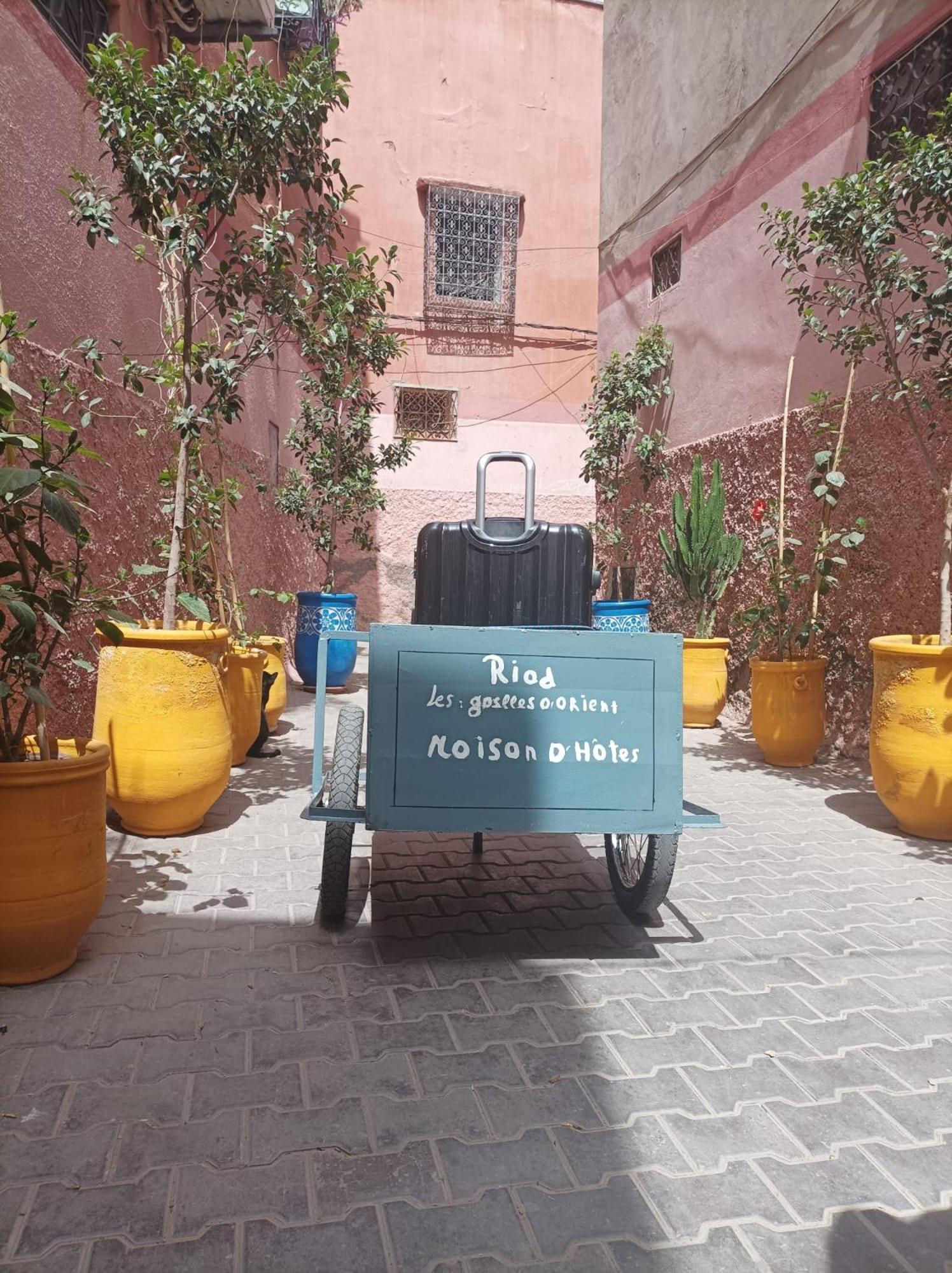 Les Gazelles D'orient Marrakech Riad Marraquexe