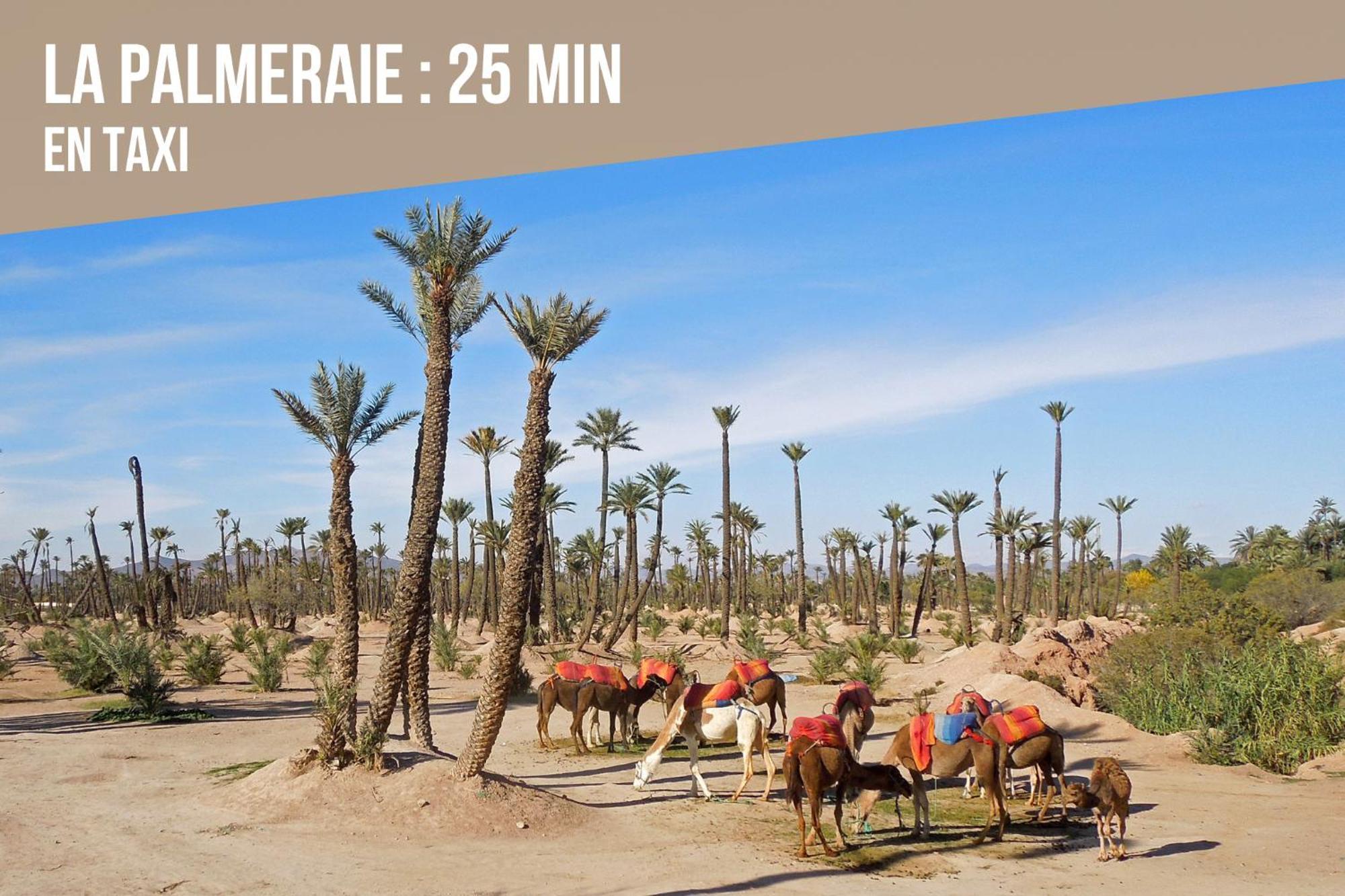 Magnifique Moderne De 2 Avec Piscine A 10 Min Du Centre De Marrakech Marraquexe