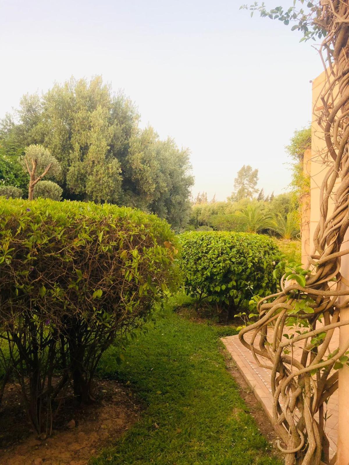 Equanime * Marrakesh
