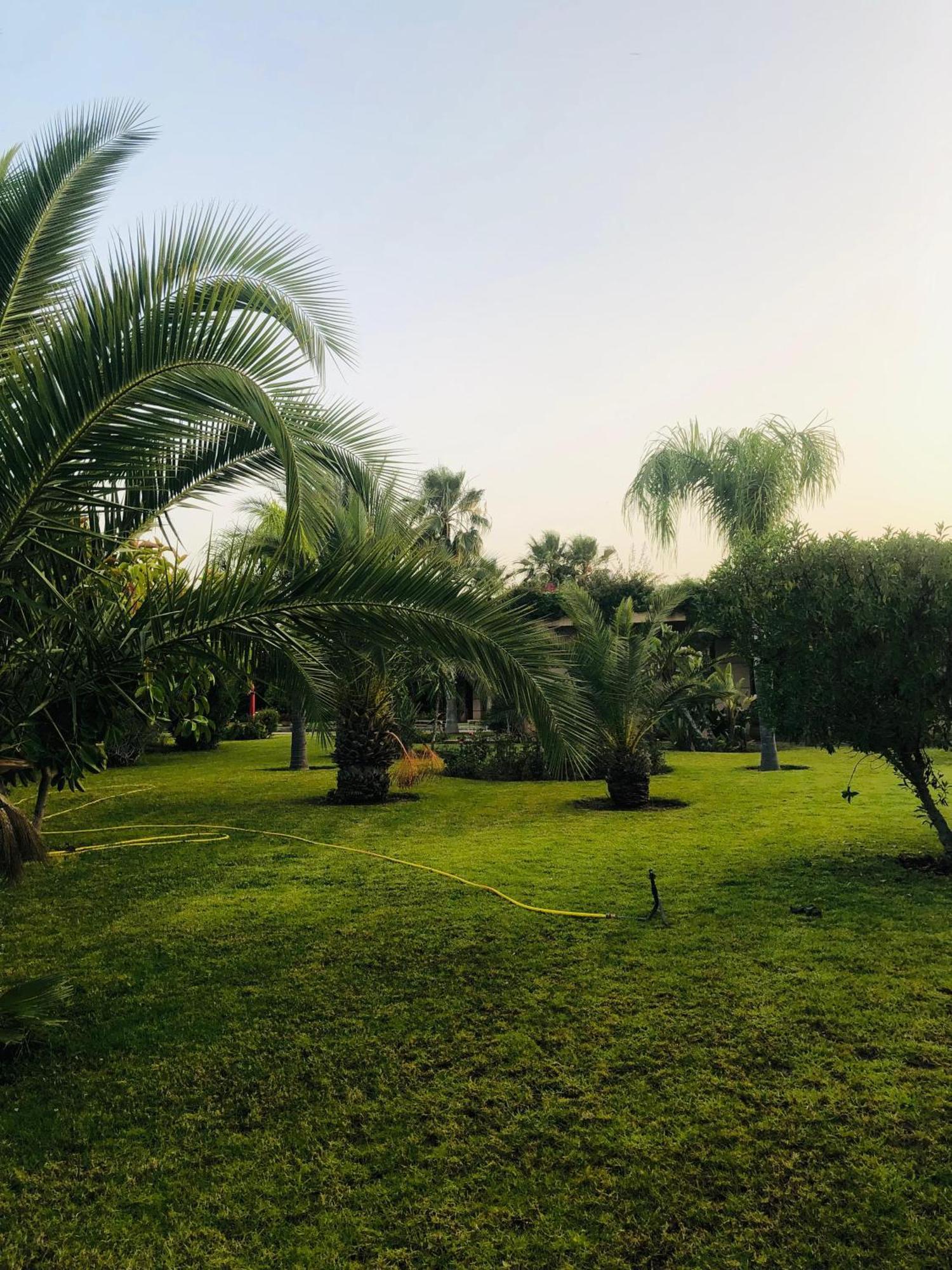 Equanime * Marrakesh