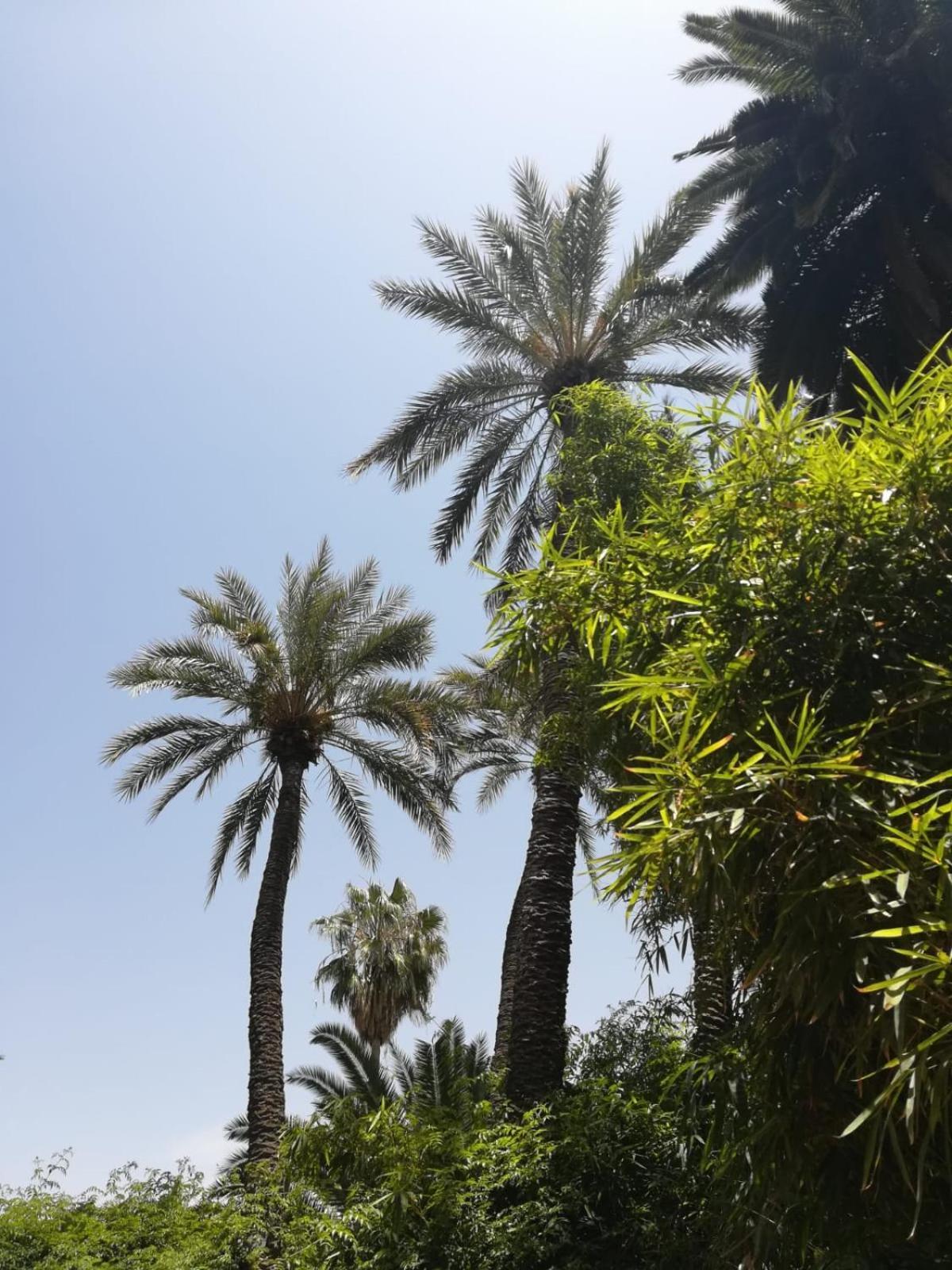 Lalla Aicha-qariya Siyahia Marrakech