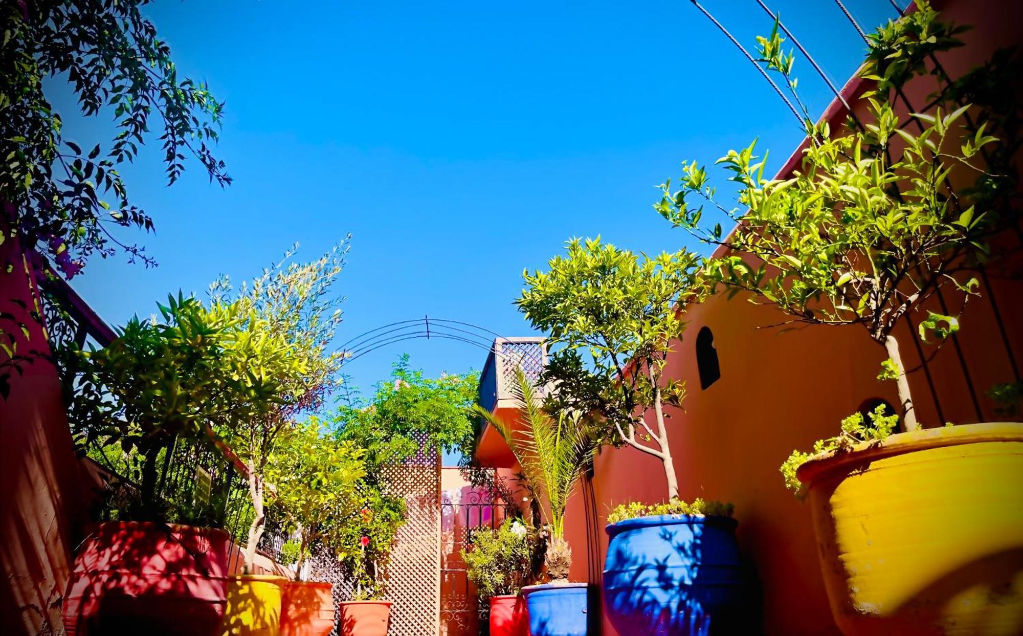 Le Dromadaire Bleu By Weekome Bed & Breakfast