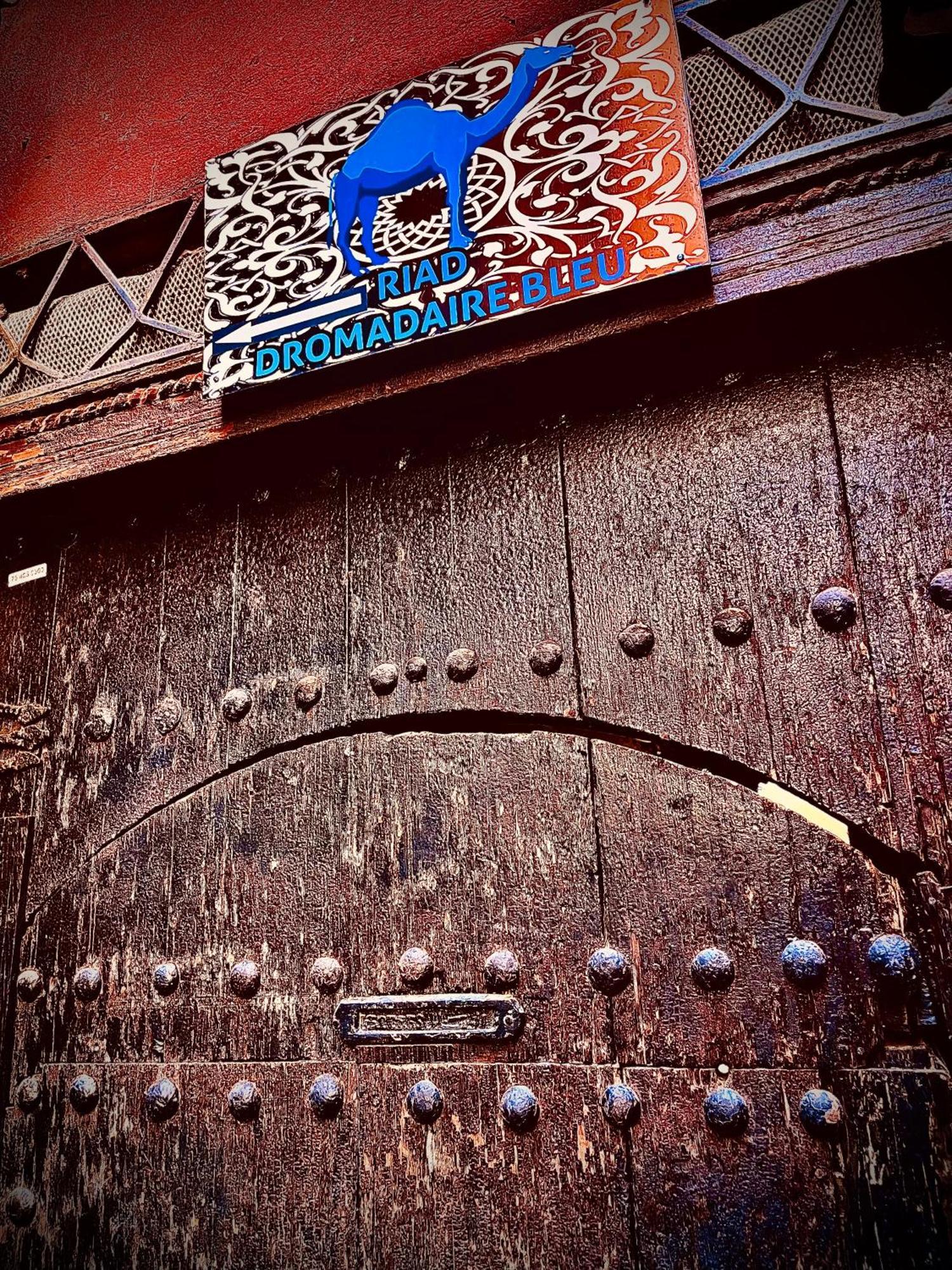 Le Dromadaire Bleu By Weekome *