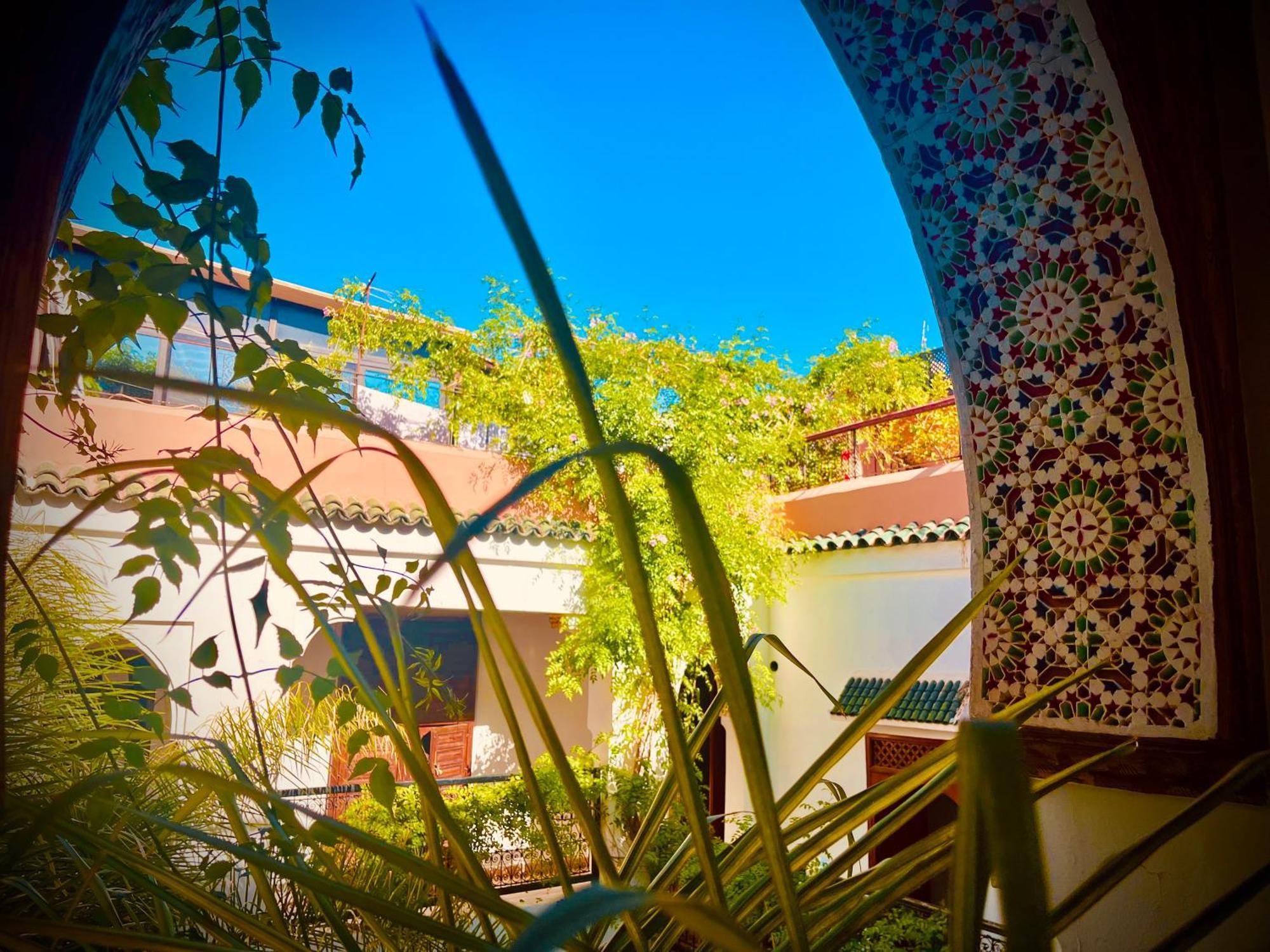 Le Dromadaire Bleu By Weekome Marrakesh