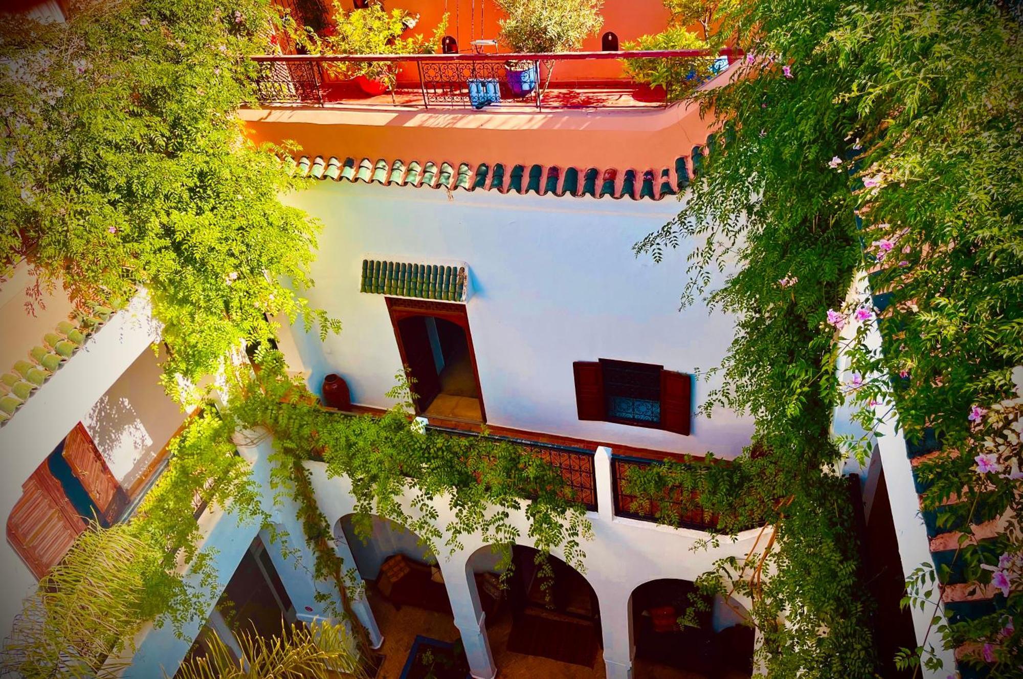 Le Dromadaire Bleu By Weekome * Marrakesh