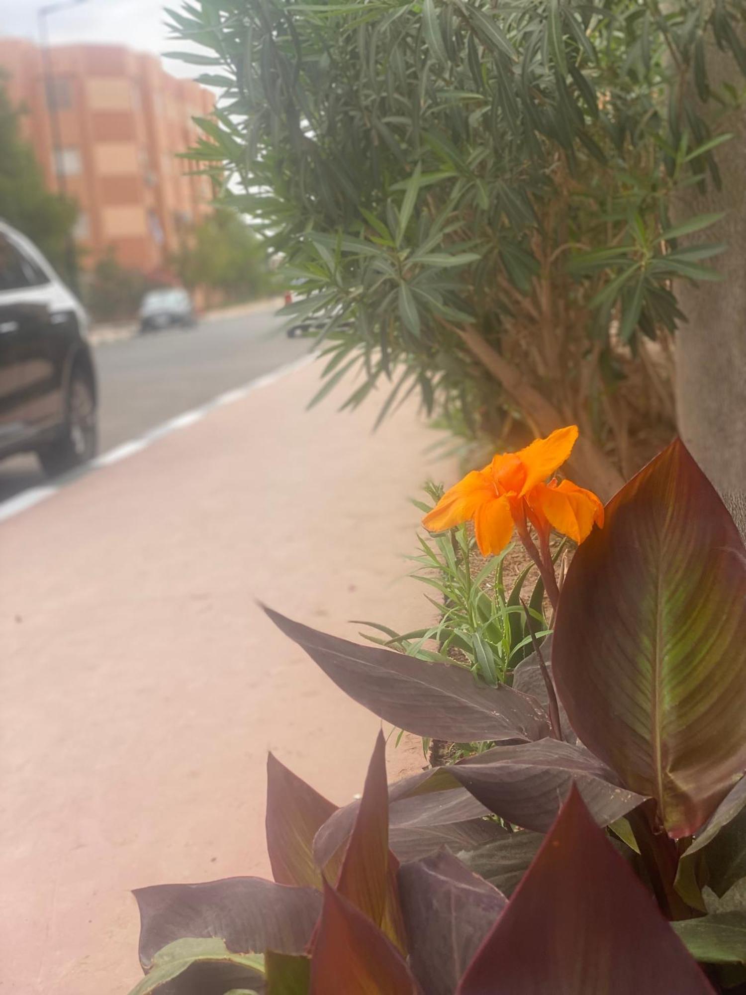 Basatine Targa Apartment *