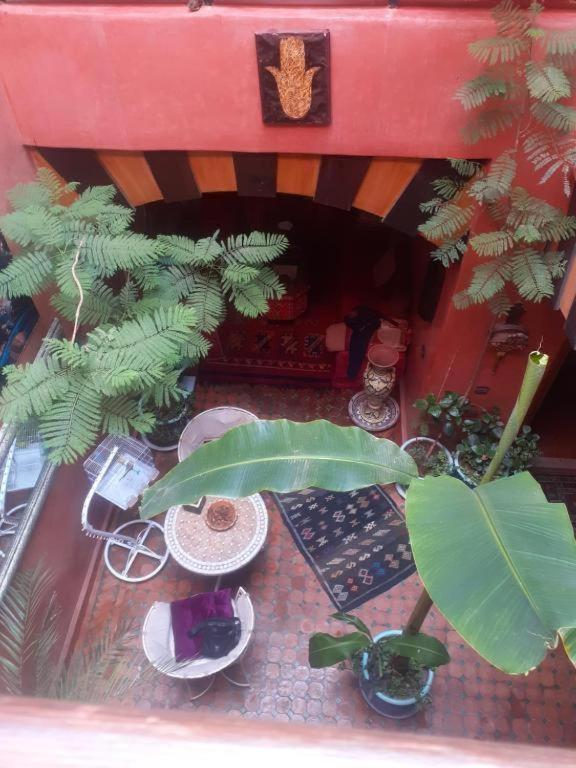 Riad Hanafi *