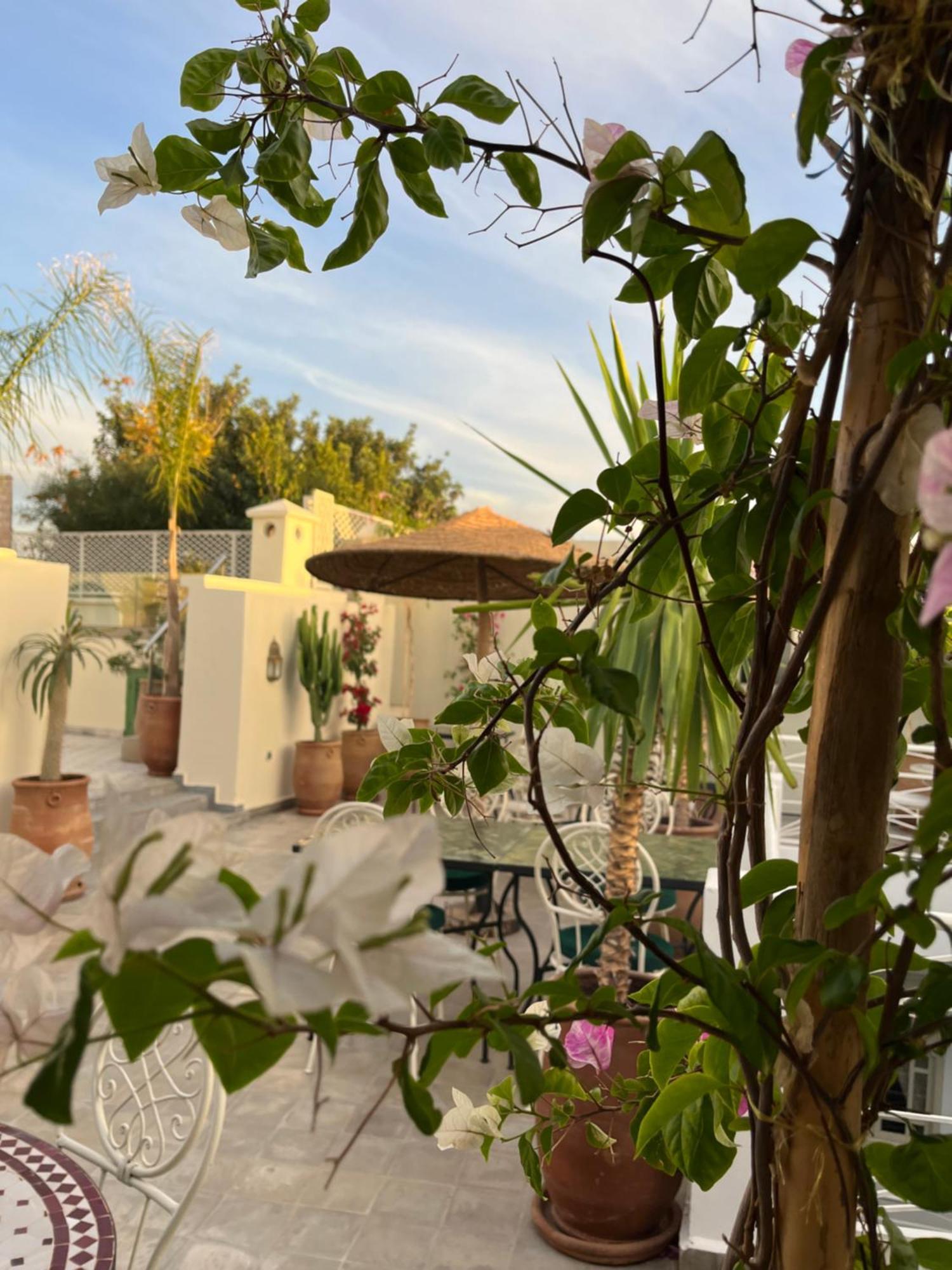 Dar Blanche Riad