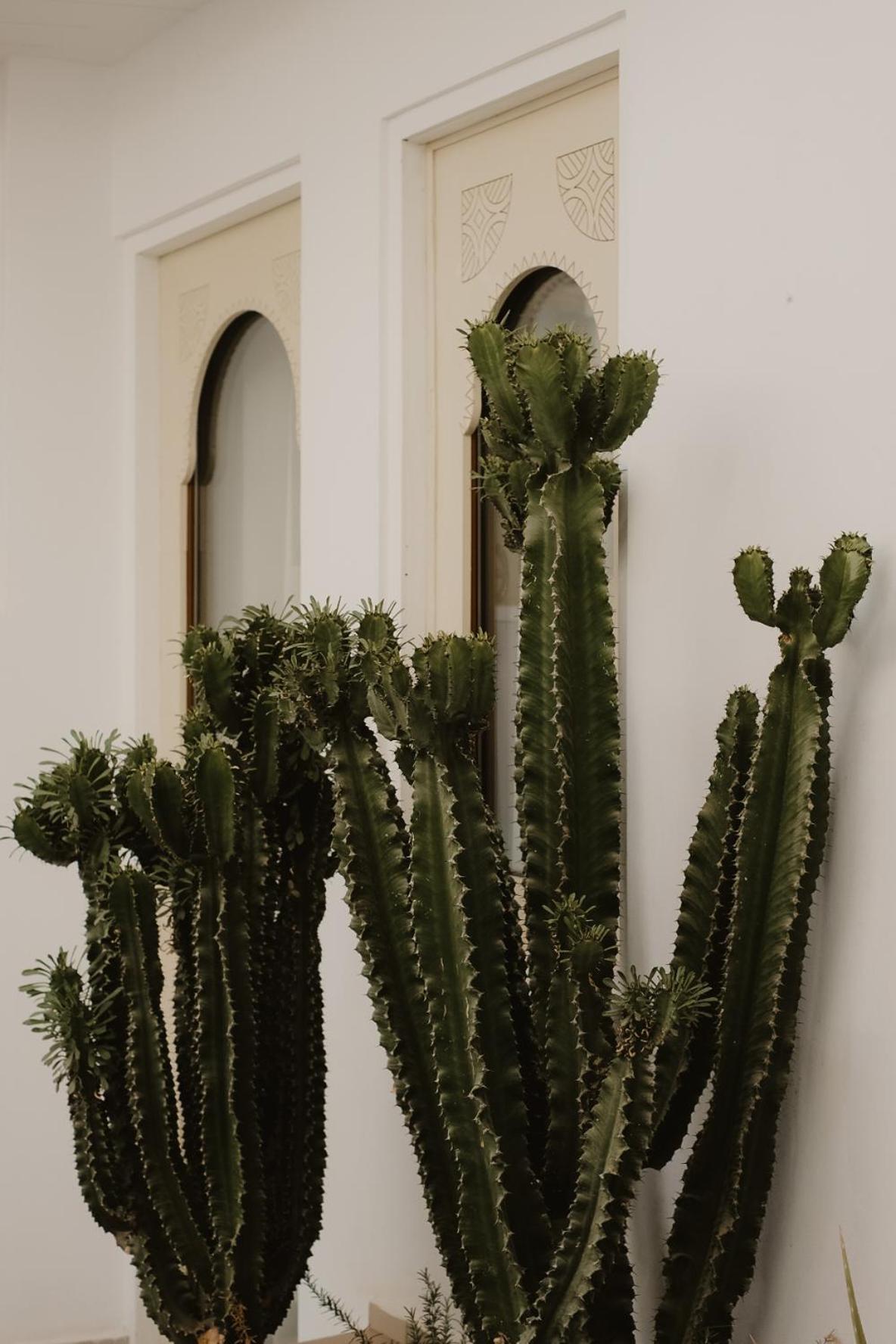 Dar Blanche Riad *