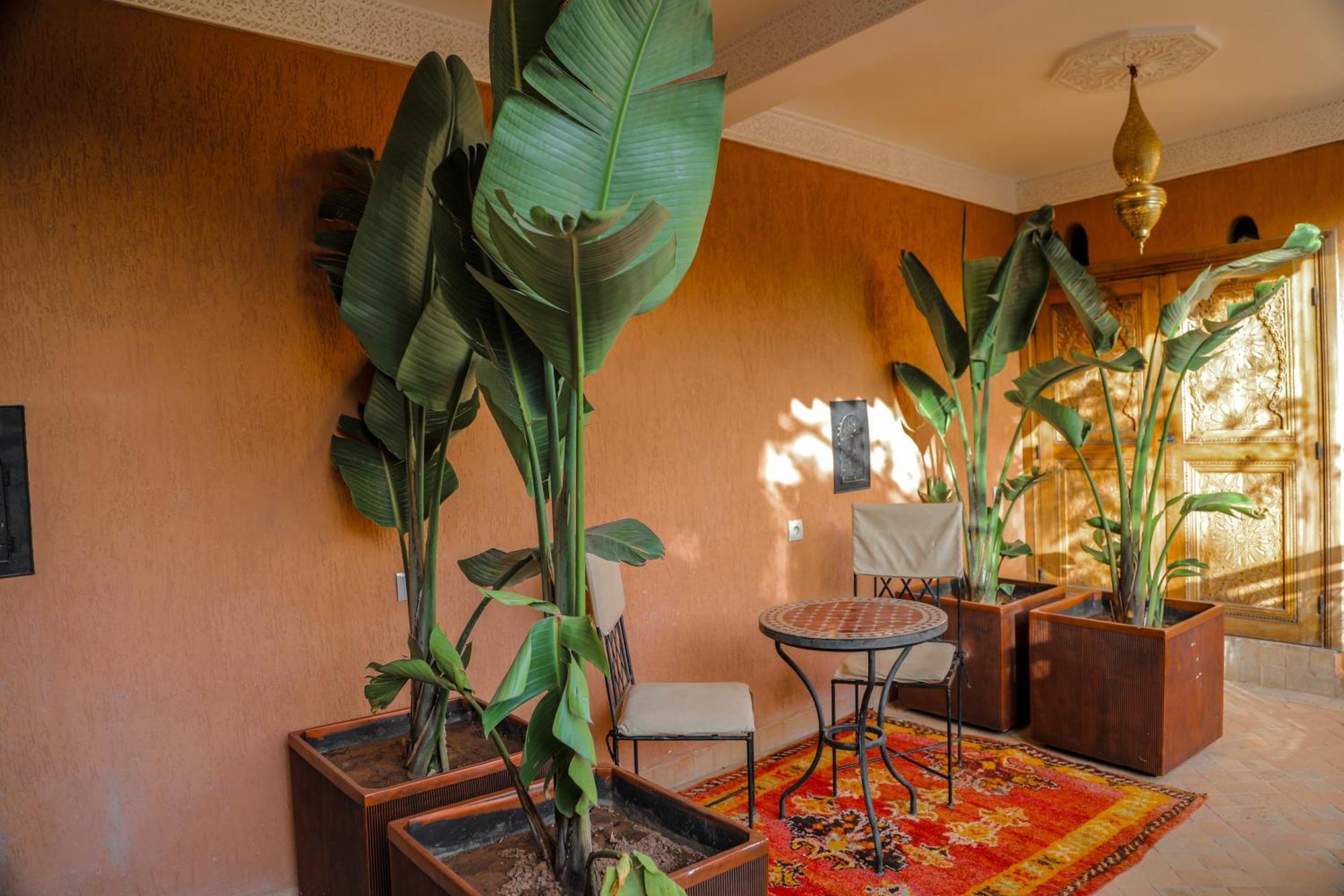Anya & 4* Marrakesh