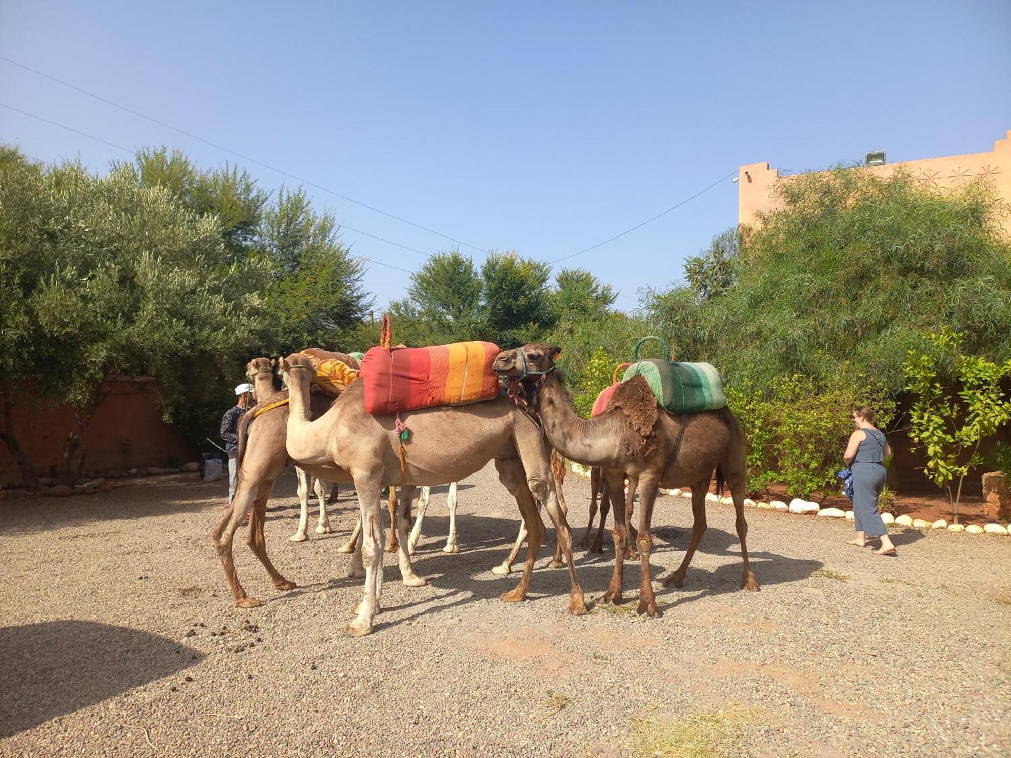 Guest house Relais Ourika