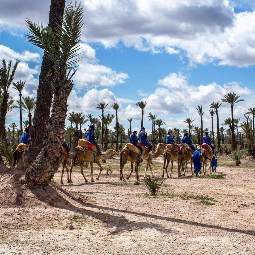 Fabuleux Appartement, Rez De Jardin Au Sein De La Palmeraie Marrakesh