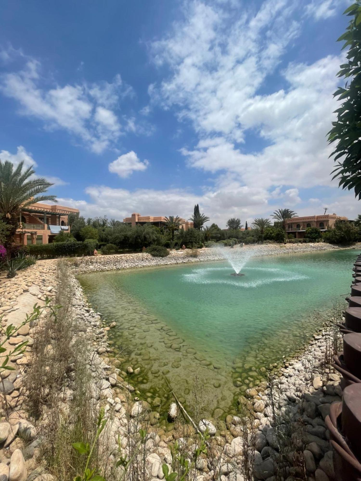 Apartment Palmeraie Piscine Wifi *
