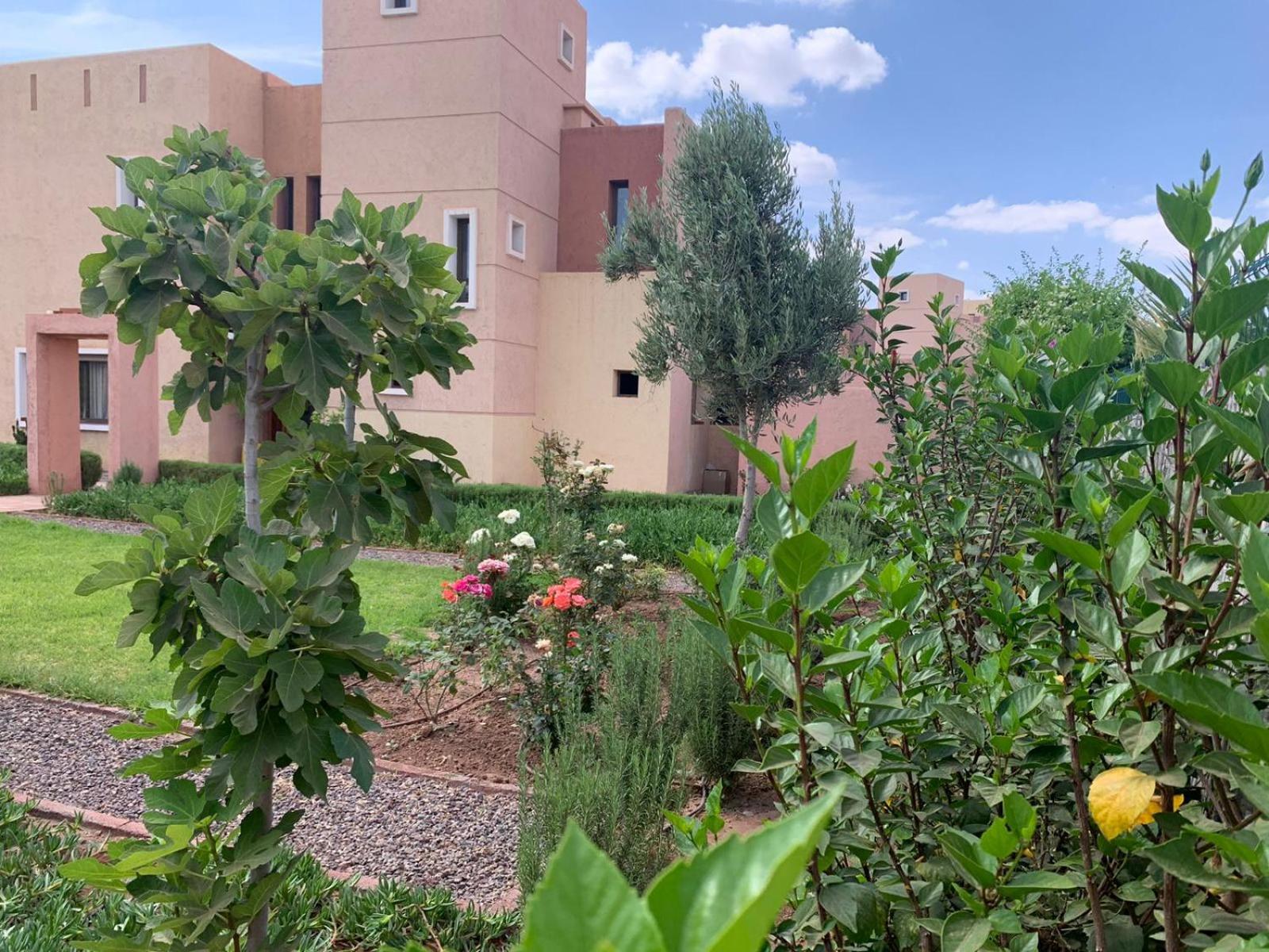 Golf Noria * Marrakesh