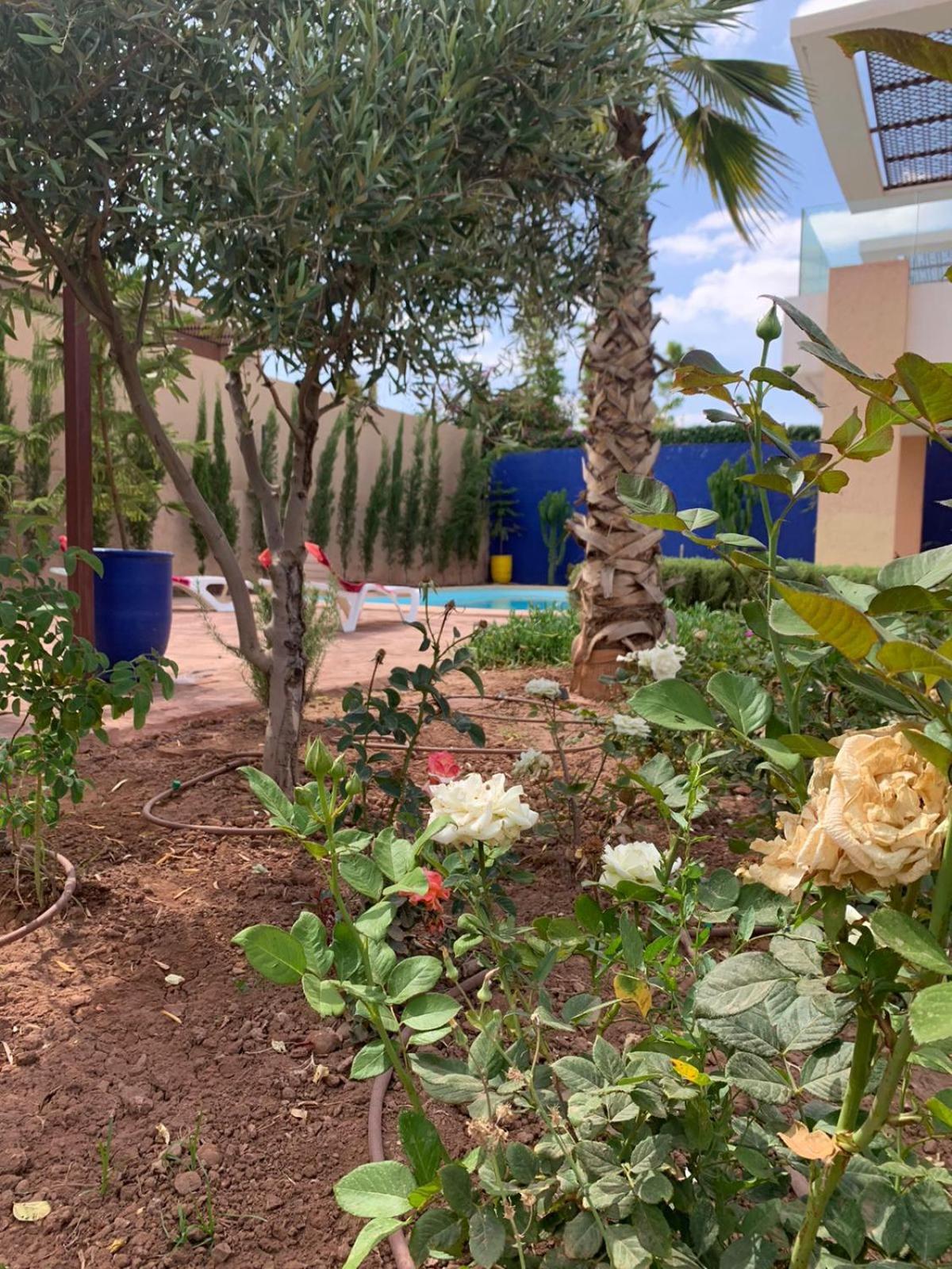 Villa Golf Noria