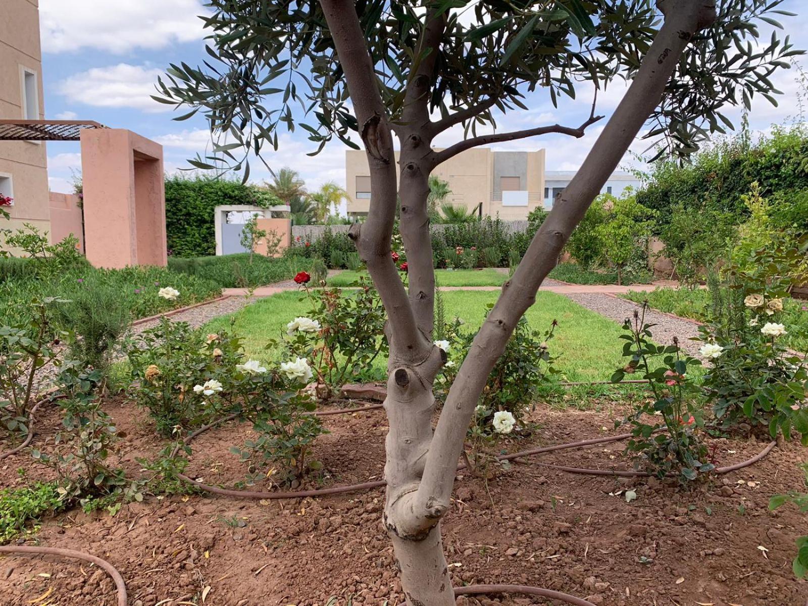 Golf Noria Marrakesh