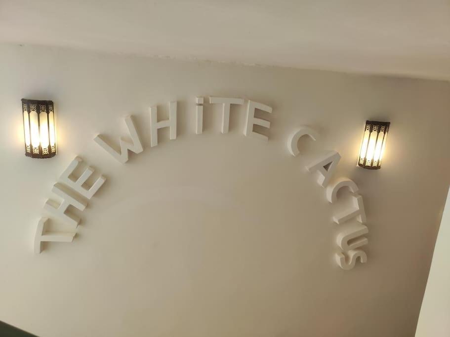 Villa White Cactus *