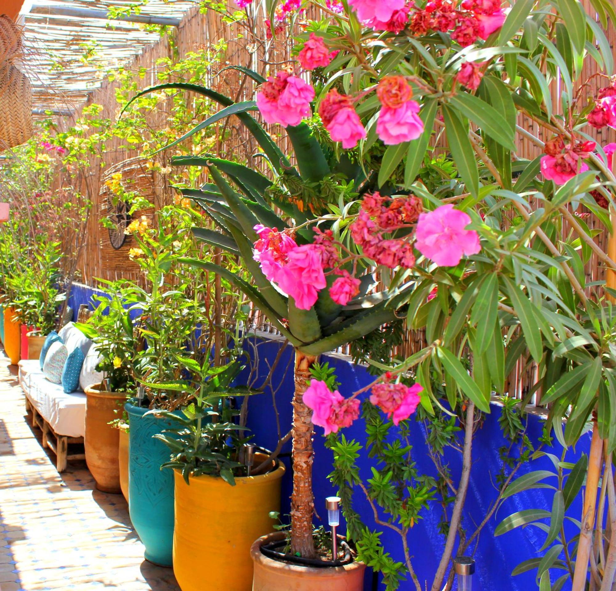 Magnifique Terrasse: Panoramic Views Near Majorelle Gardens Apartment Marrakesh