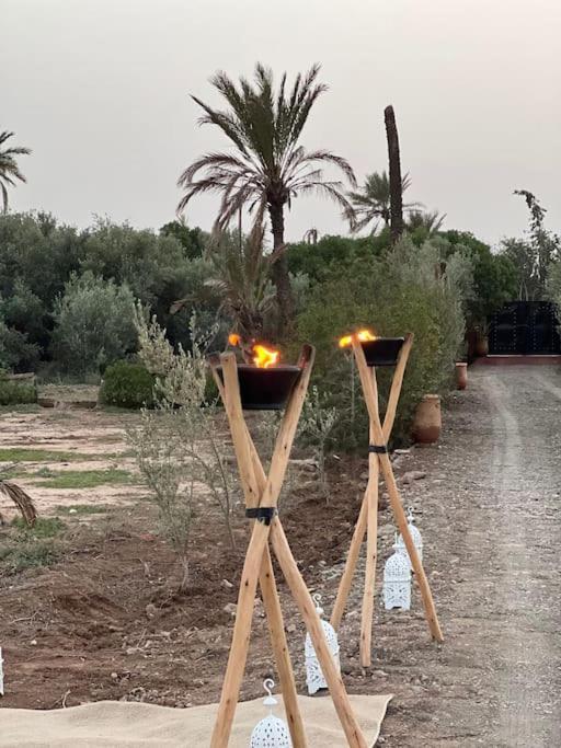 Oasis De La Palmeraie Villa Marrakesh