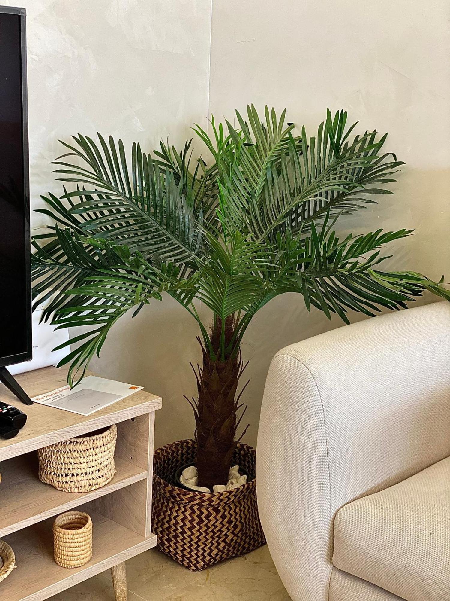 Apartment Apparte 2 Luxe En Face La Gare Gueliz Marrakesh