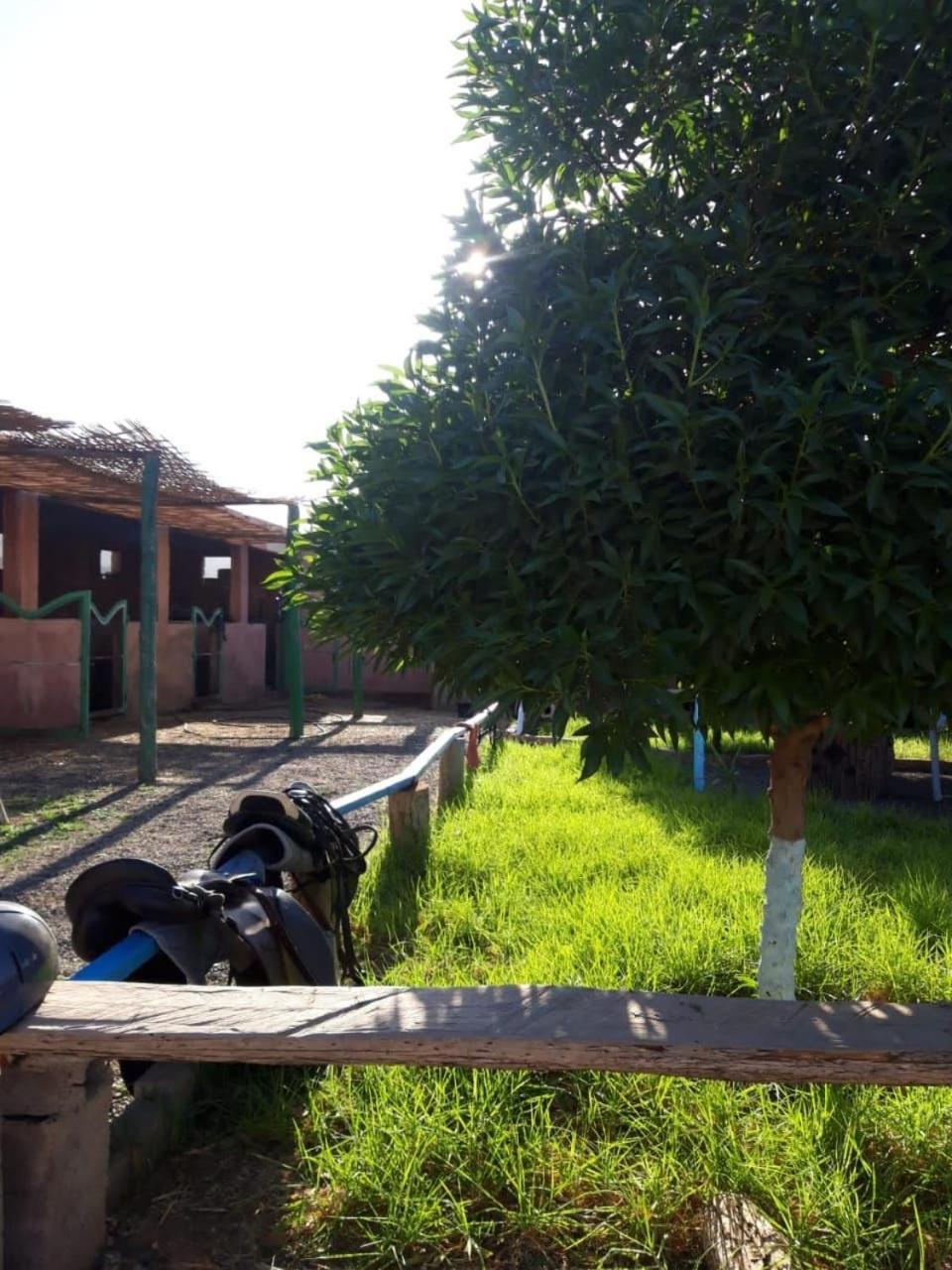 Les Cavaliers Chez Yassine * Marrakesh