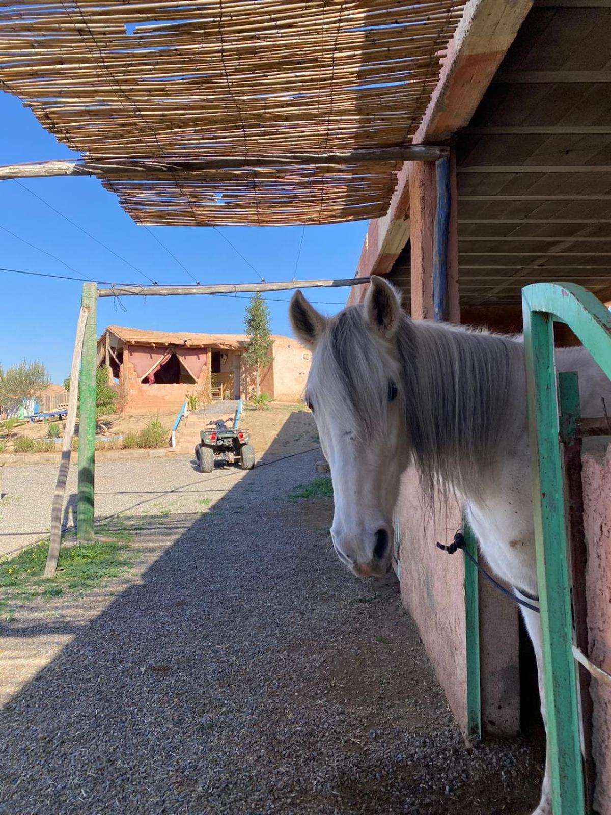 Les Cavaliers Chez Yassine Séjour à la ferme Marrakesh
