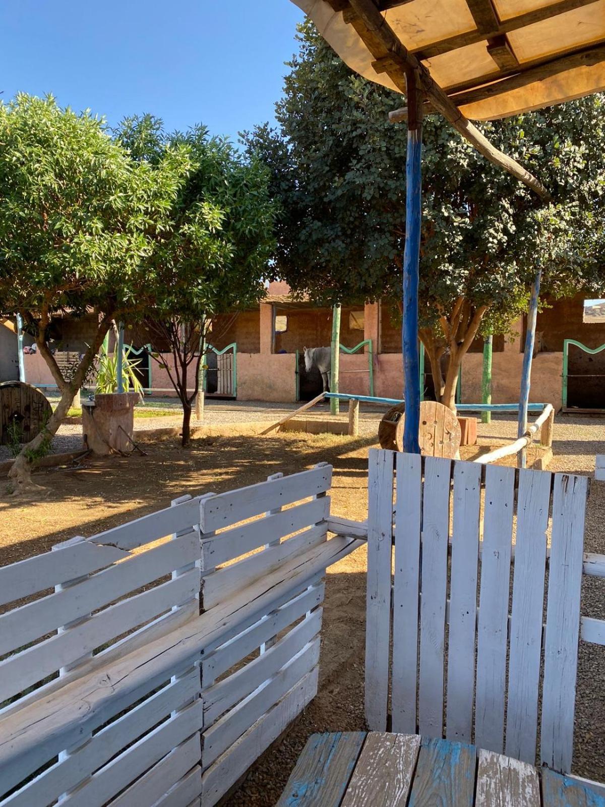 Séjour à la ferme Les Cavaliers Chez Yassine Marrakesh