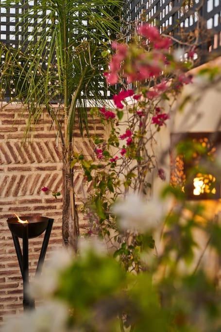 Miloud Marrakesh