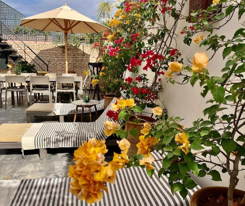 Riad Miloud 2*