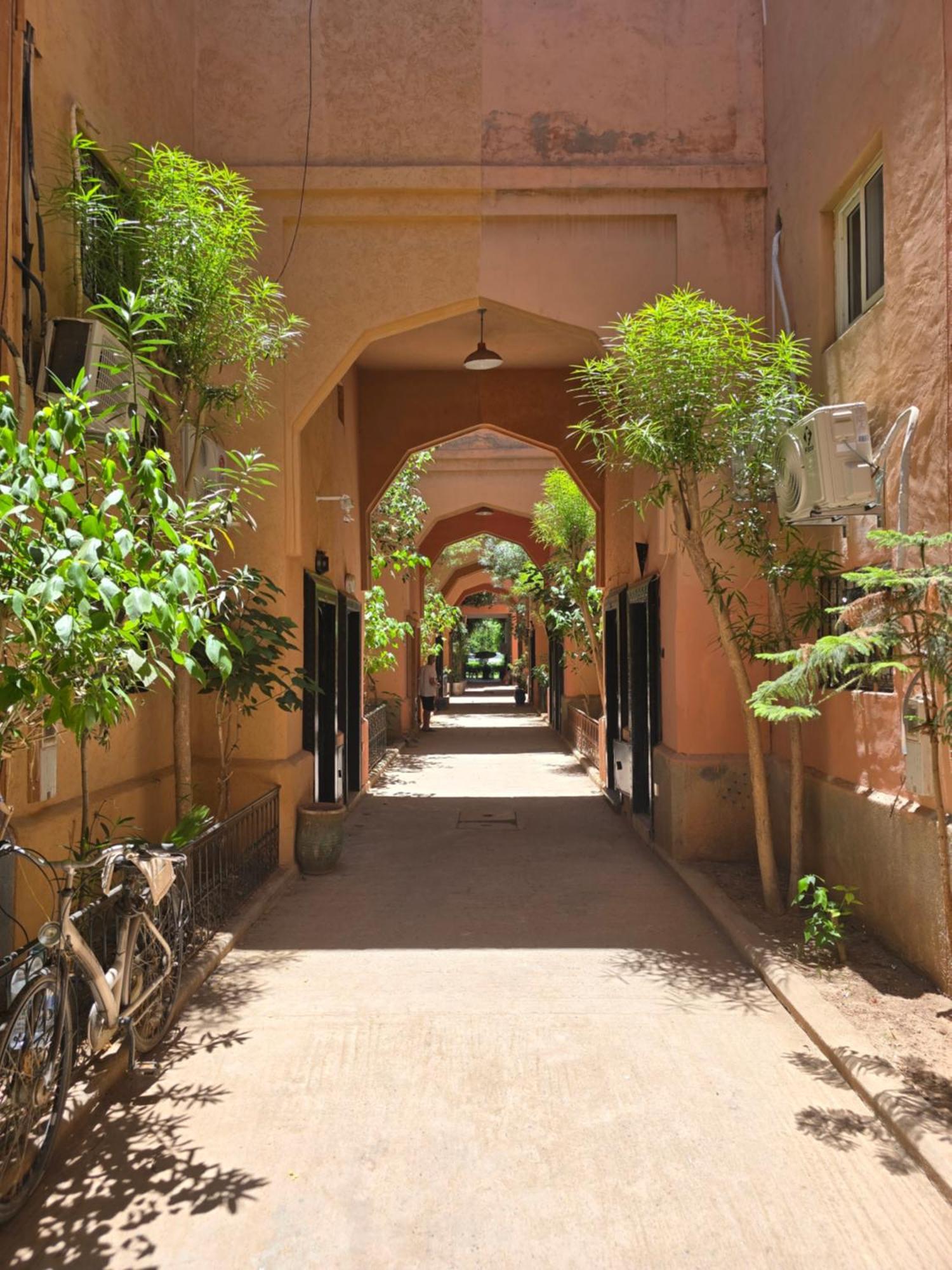 Miralezia Marrakesh