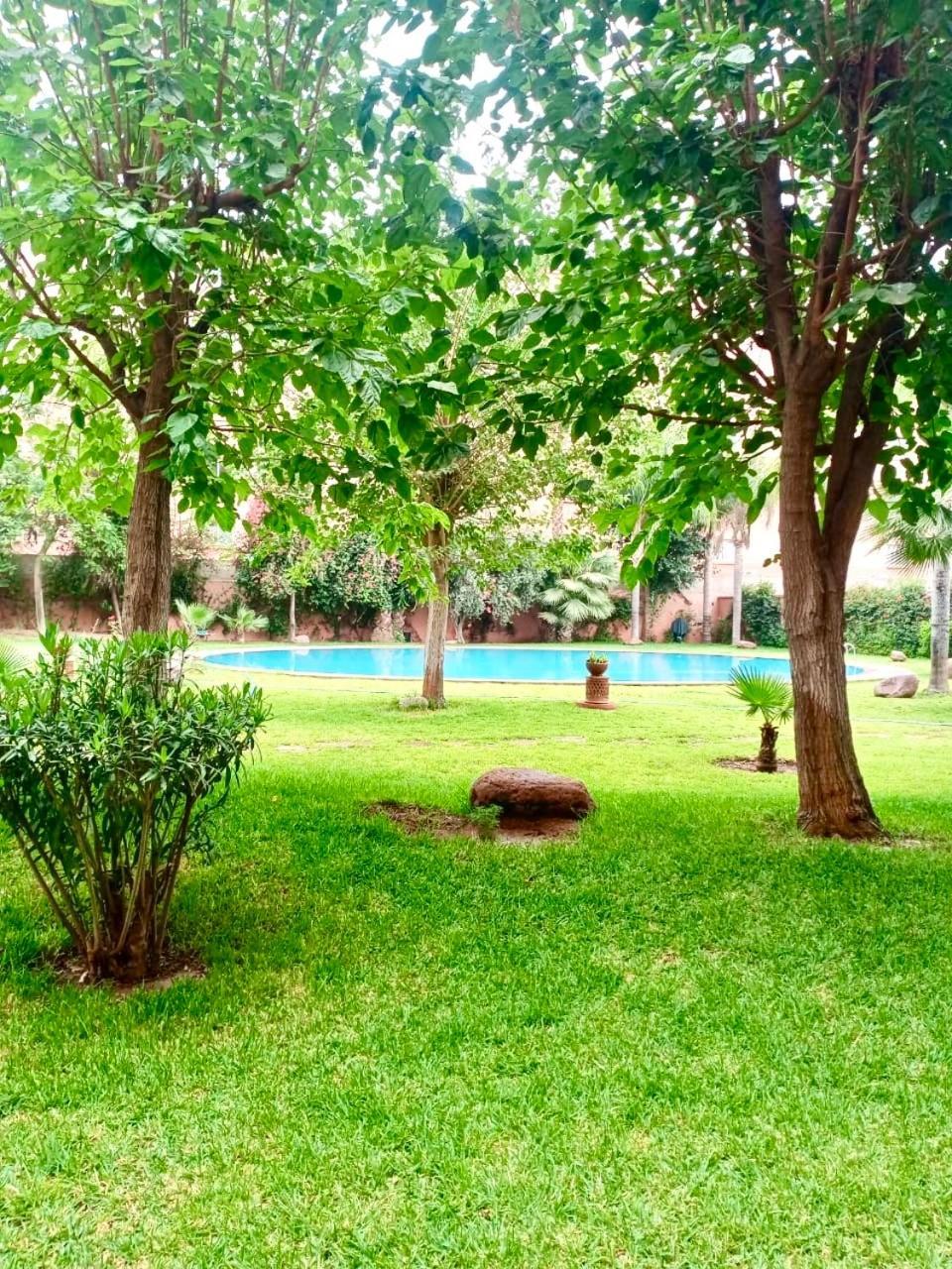Beautiful Hivernage With Pool & Balcony, Near Attractions Apartment