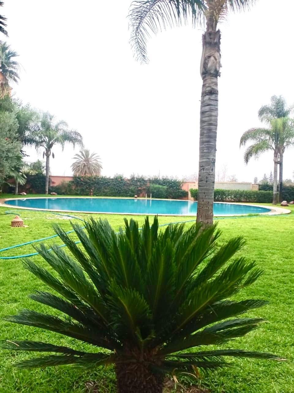 Beautiful Hivernage With Pool & Balcony, Near Attractions