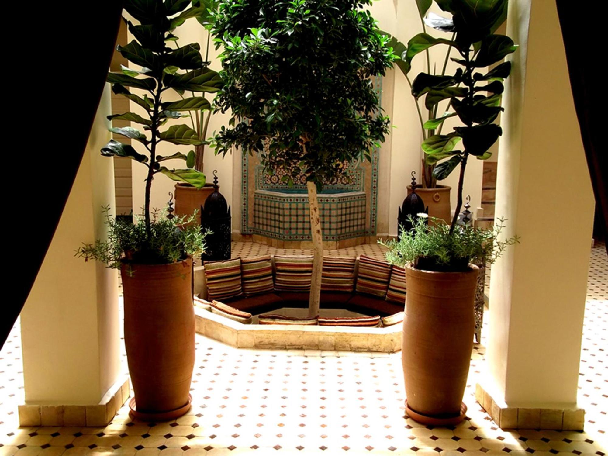Riad Signature 3*