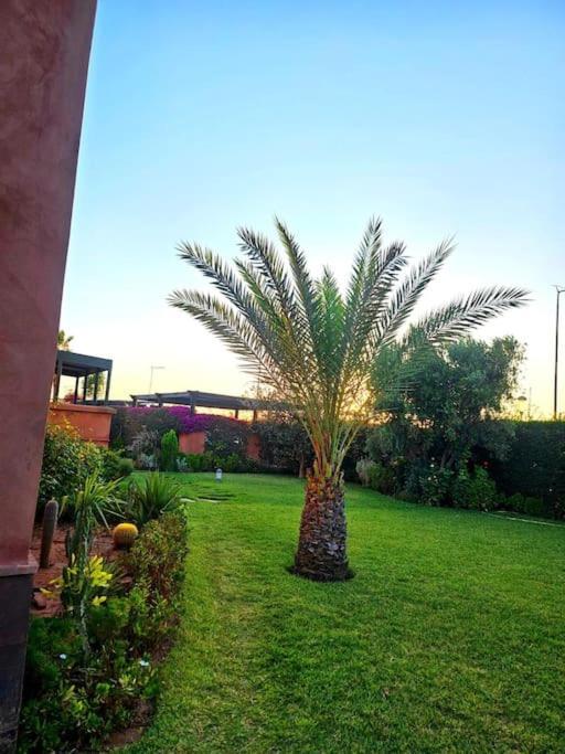 Luxury In Marrakech Pousada