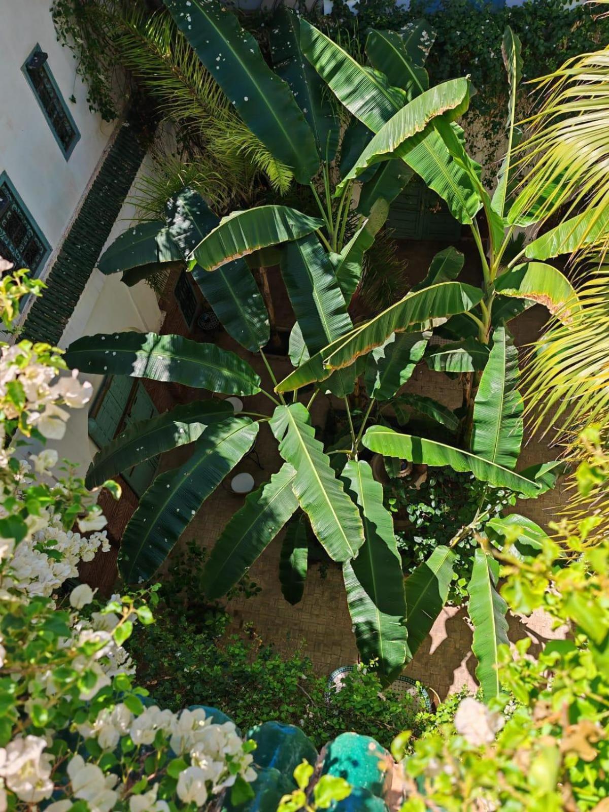 Maison Bounouar Guest house *