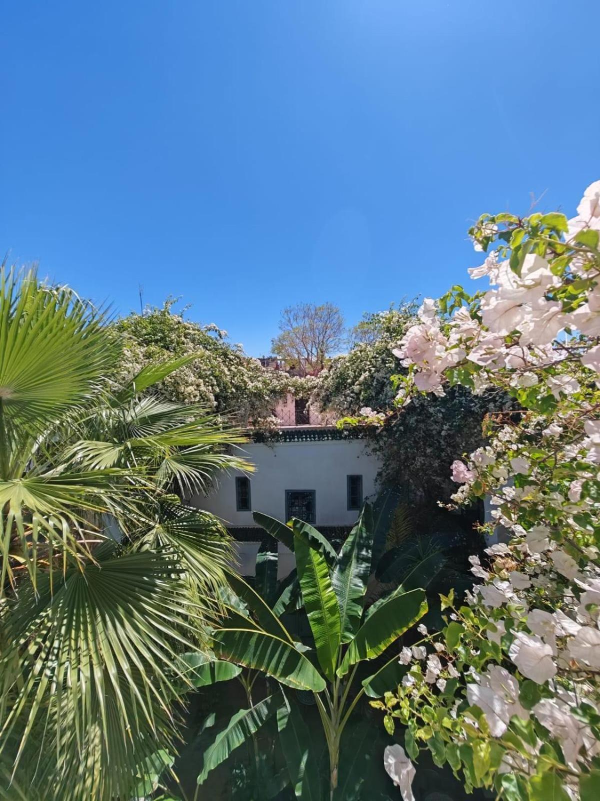 Maison Bounouar *