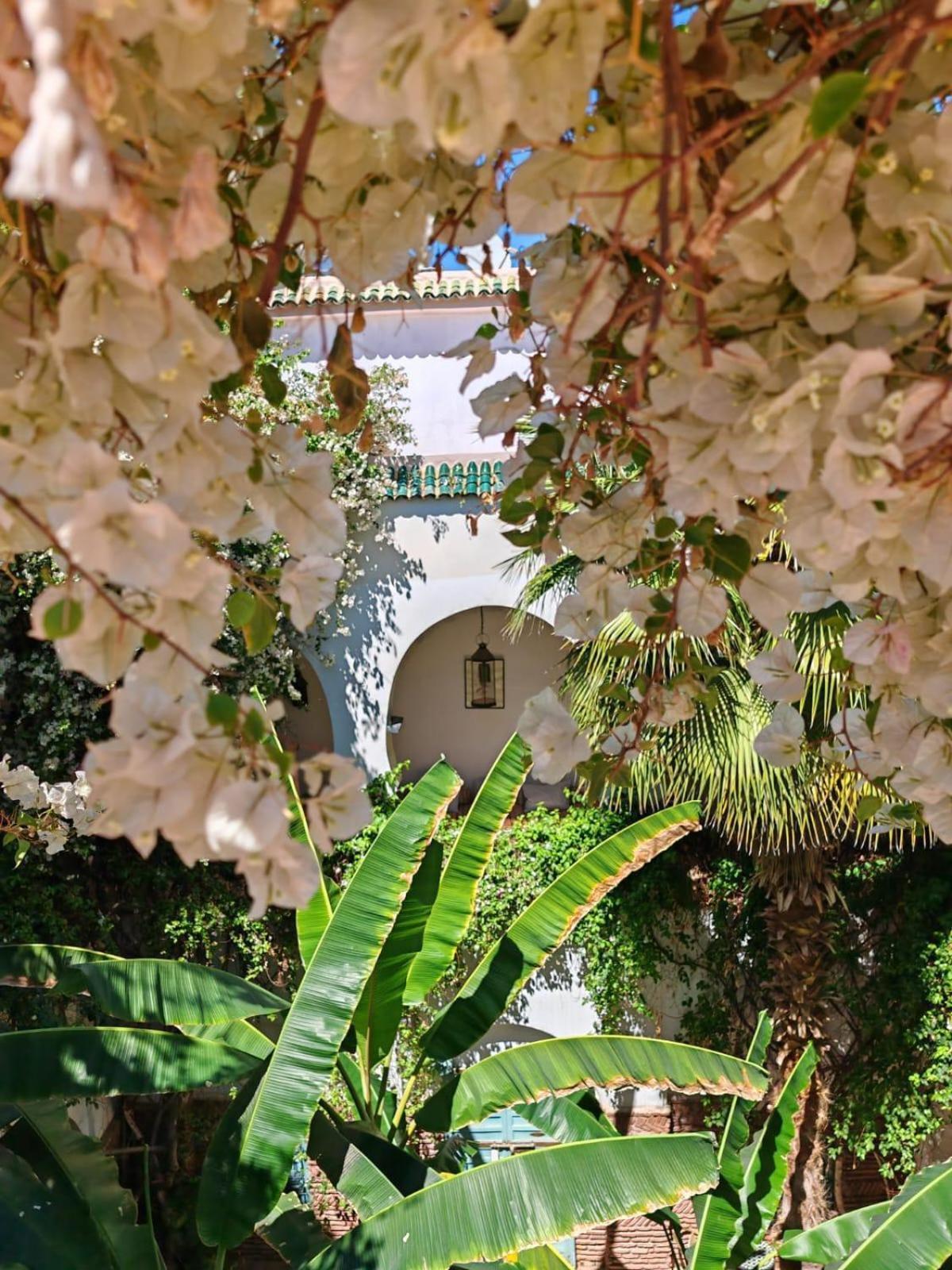 Maison Bounouar