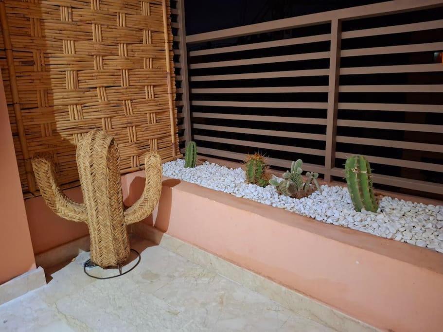 Hypercentre, Cosy, 2 Piscines, Sauna, Hammam Apartment