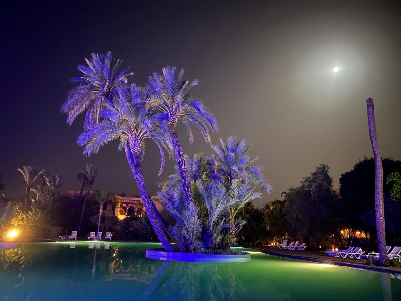 Palmeraie 5 Vue Piscine Et Jardin Holiday home