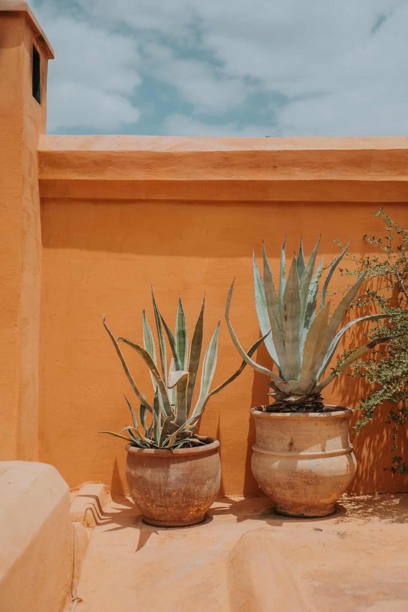 Riad Dar El Qadi
