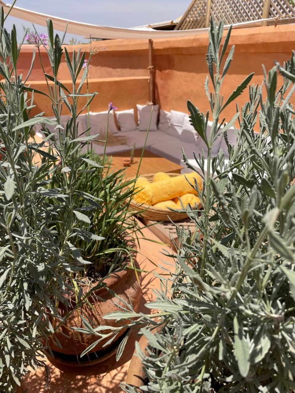 Dar El Qadi * Marrakesh
