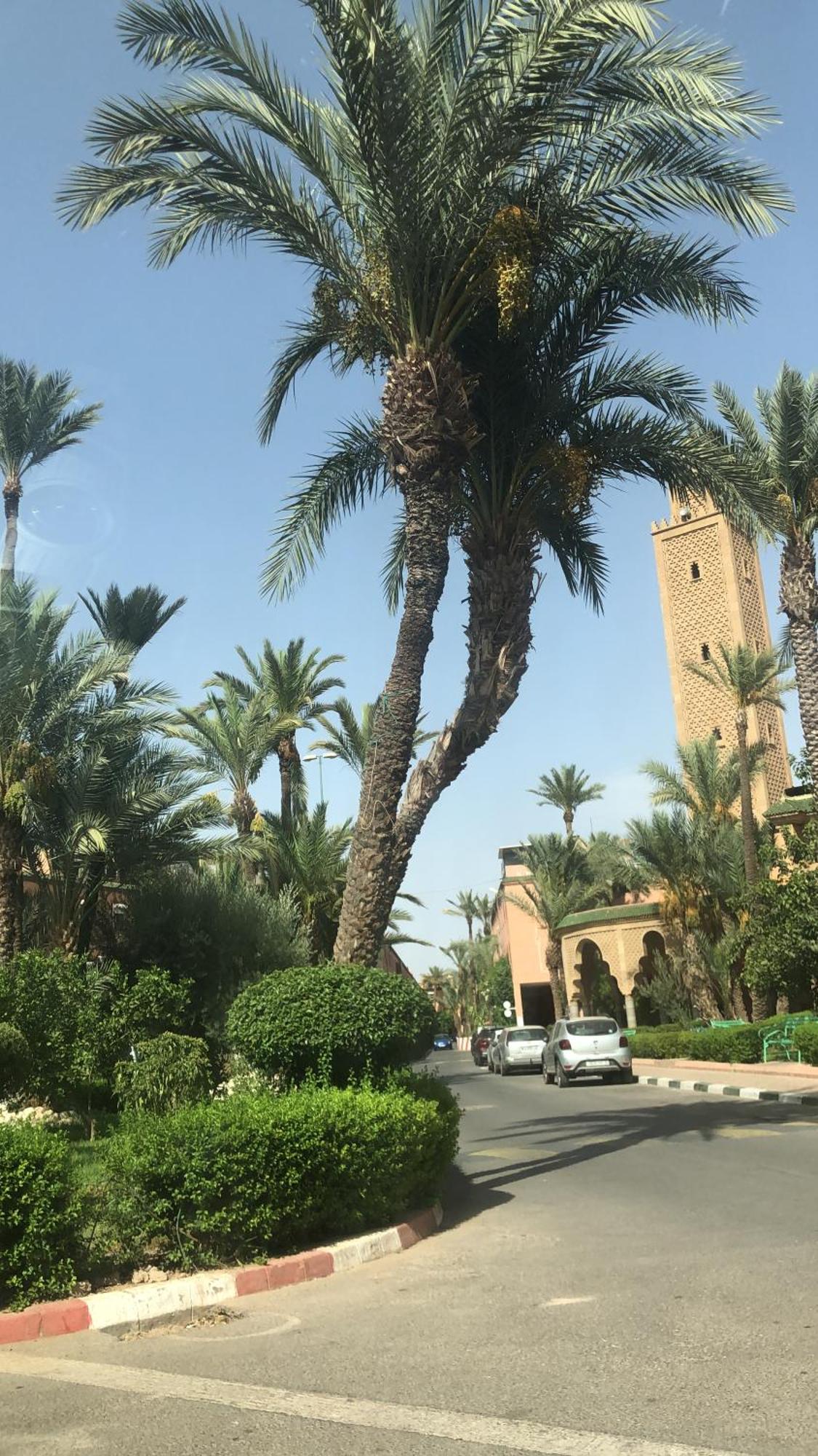 Holiday home Lyna Marrakesh