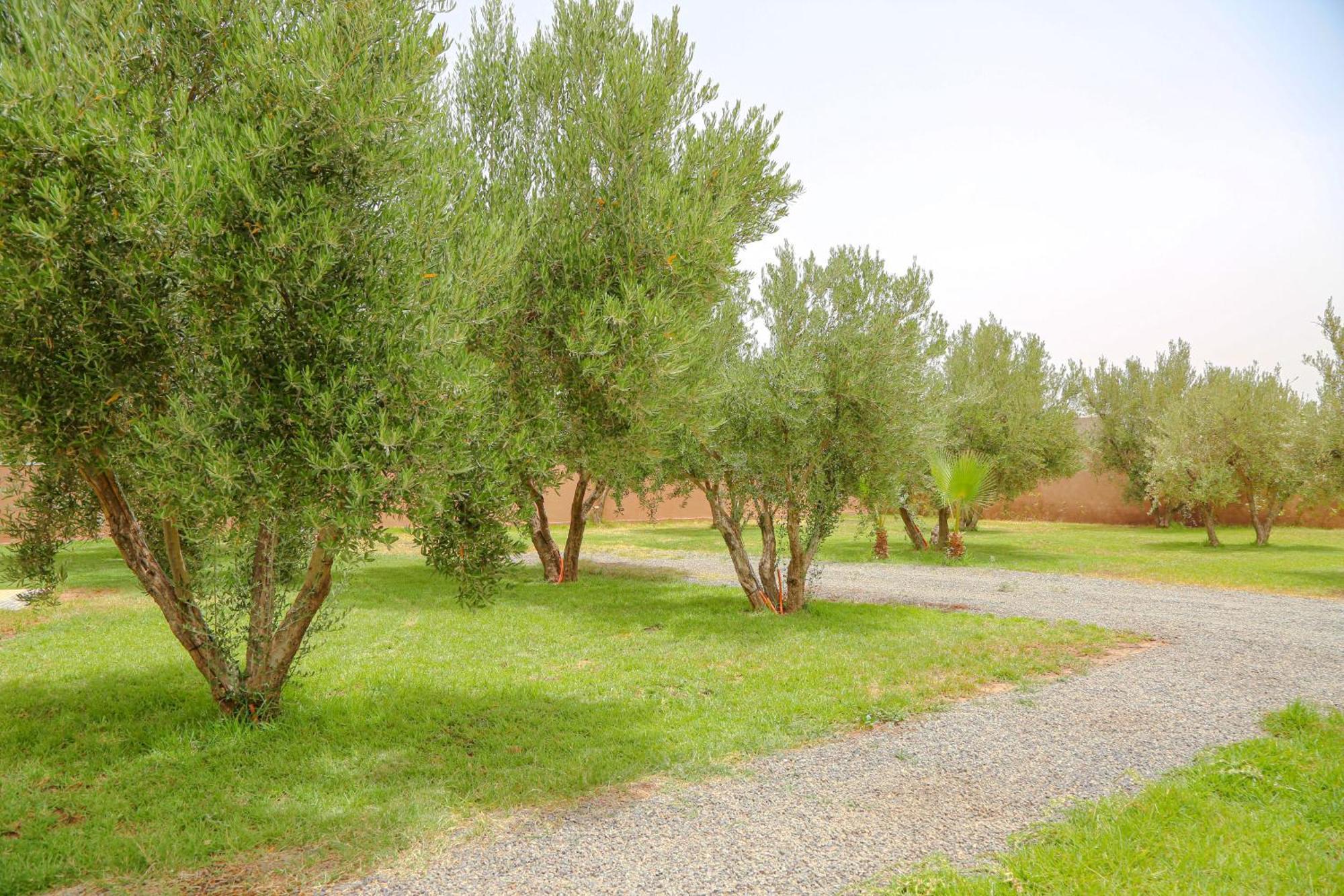 Domaine Dar Jmel & Dar Abi Samama Marraquexe