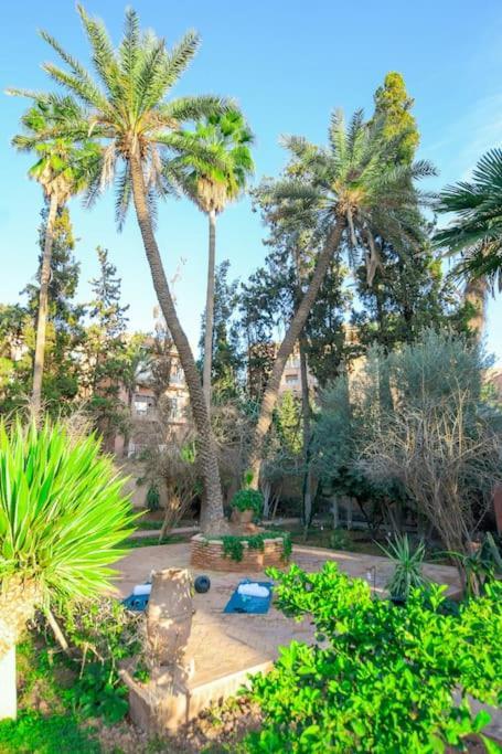 Villa Luxe Centre Marrakech Majorelle Rue Yves St Laurent *
