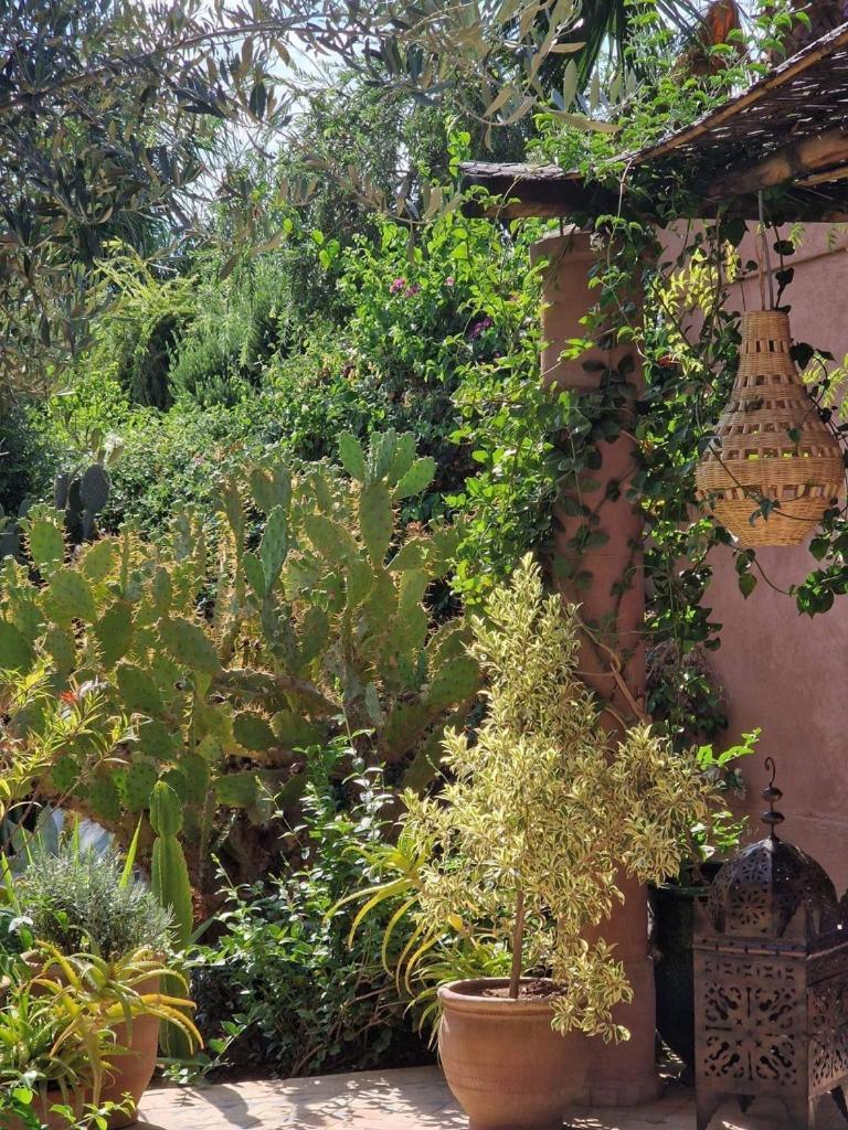 La Porte Au Lion - Marrakech Villa Marrakesh