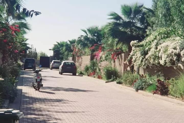Palmeria Luxery *