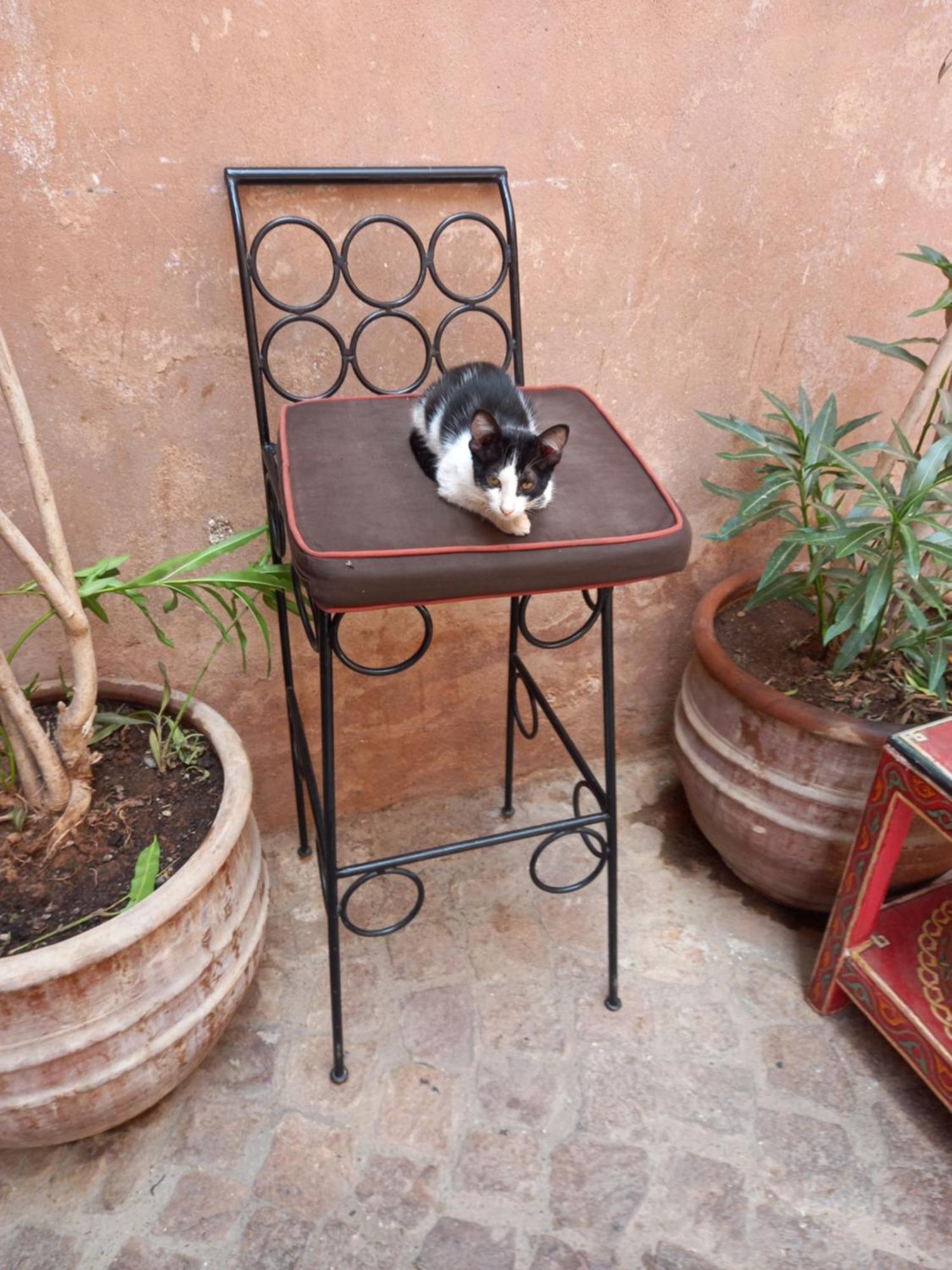 Bed & Breakfast Juli's Marrakesh