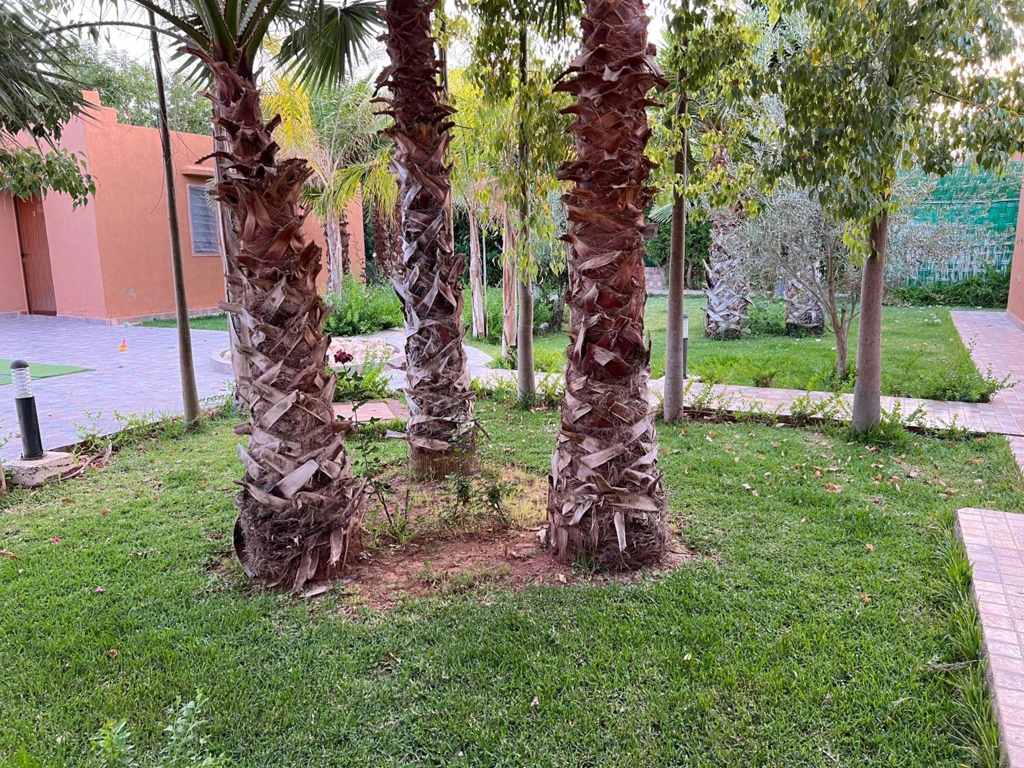 De Luxe A Marrakech Villa *